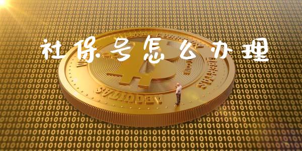 社保号怎么办理_https://cj.lansai.wang_保险问答_第1张