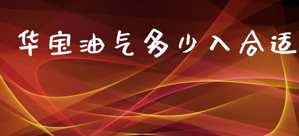 华宝油气多少入合适_https://cj.lansai.wang_股市问答_第1张
