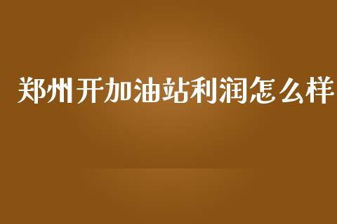 郑州开加油站利润怎么样_https://cj.lansai.wang_财经问答_第1张