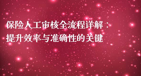 保险人工审核全流程详解：提升效率与准确性的关键_https://cj.lansai.wang_股市问答_第1张