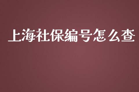 上海社保编号怎么查_https://cj.lansai.wang_保险问答_第1张