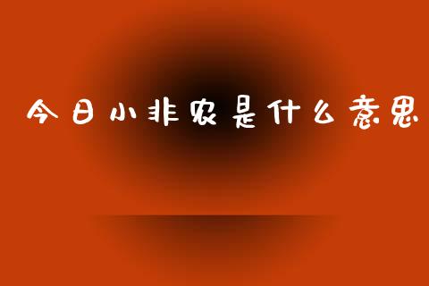 今日小非农是什么意思_https://cj.lansai.wang_财经问答_第1张