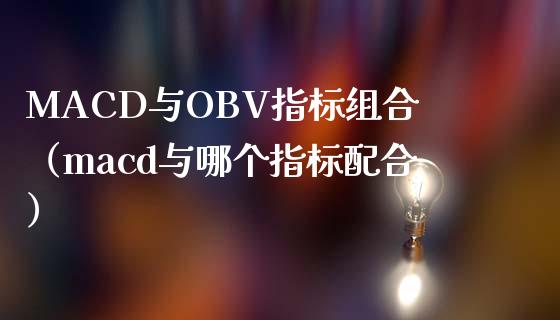 MACD与OBV指标组合（macd与哪个指标配合）_https://cj.lansai.wang_财经问答_第1张