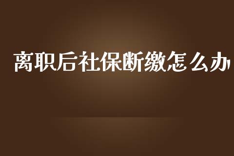 离职后社保断缴怎么办_https://cj.lansai.wang_保险问答_第1张