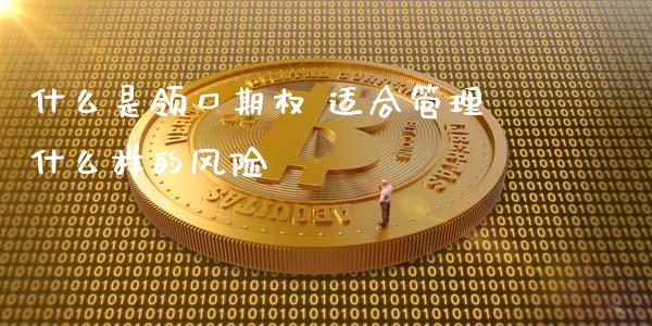 什么是领口期权 适合管理什么样的风险_https://cj.lansai.wang_股市问答_第1张