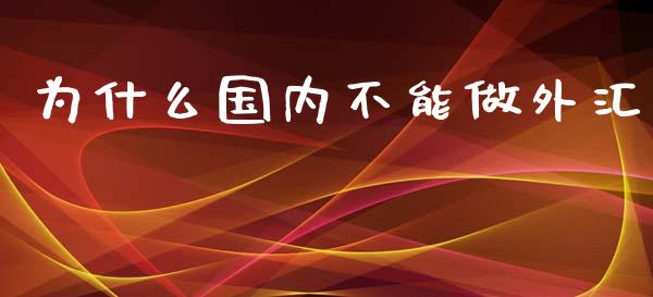 为什么国内不能做外汇_https://cj.lansai.wang_财经百问_第1张