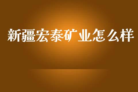 新疆宏泰矿业怎么样_https://cj.lansai.wang_保险问答_第1张