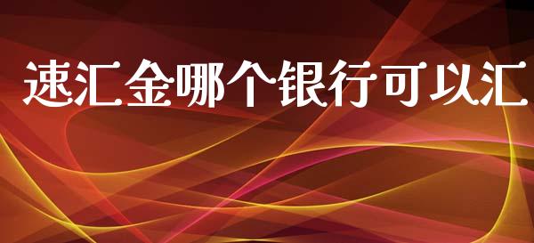 速汇金哪个银行可以汇_https://cj.lansai.wang_理财问答_第1张