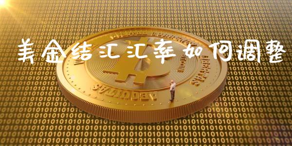 美金结汇汇率如何调整_https://cj.lansai.wang_股市问答_第1张