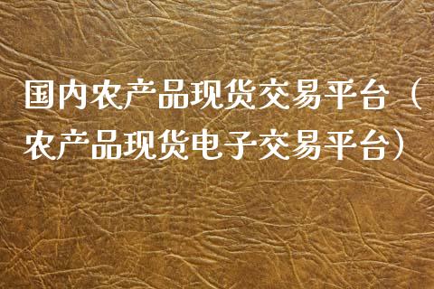 国内农产品现货交易平台（农产品现货电子交易平台）_https://cj.lansai.wang_会计问答_第1张