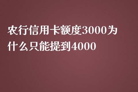 农行信用卡额度3000为什么只能提到4000_https://cj.lansai.wang_理财问答_第1张