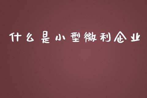 什么是小型微利企业_https://cj.lansai.wang_会计问答_第1张