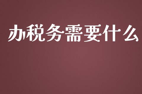 办税务需要什么_https://cj.lansai.wang_会计问答_第1张