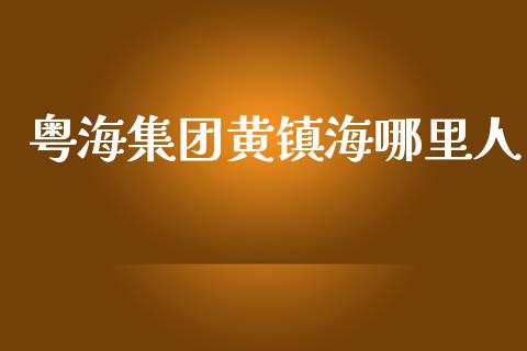 粤海集团黄镇海哪里人_https://cj.lansai.wang_会计问答_第1张