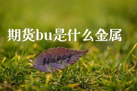 期货bu是什么金属_https://cj.lansai.wang_保险问答_第1张