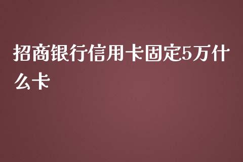 招商银行信用卡固定5万什么卡_https://cj.lansai.wang_金融问答_第1张