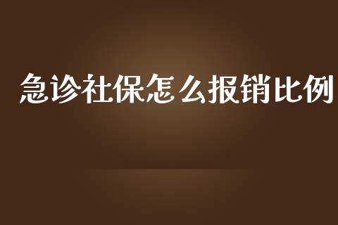 急诊社保怎么报销比例_https://cj.lansai.wang_保险问答_第1张