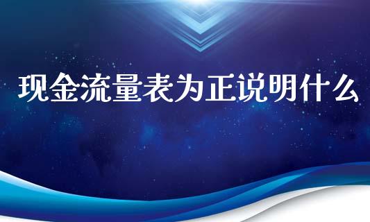 现金流量表为正说明什么_https://cj.lansai.wang_会计问答_第1张