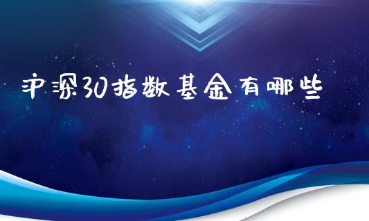 沪深30指数基金有哪些_https://cj.lansai.wang_金融问答_第1张