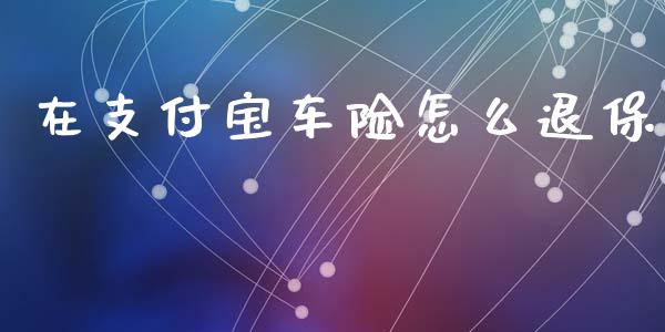 在支付宝车险怎么退保_https://cj.lansai.wang_保险问答_第1张