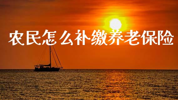 农民怎么补缴养老保险_https://cj.lansai.wang_保险问答_第1张