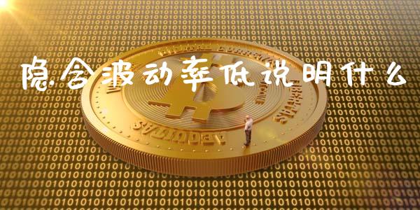 隐含波动率低说明什么_https://cj.lansai.wang_金融问答_第1张